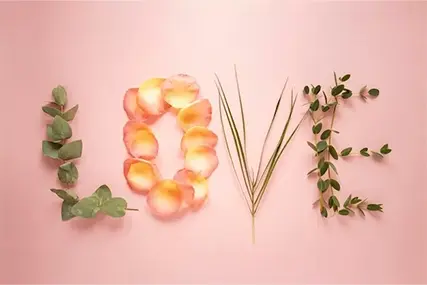 520 कन्फ़ेशन सीज़न丨क्या आप कबूल करने के लिए तैयार हैं